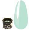 Base FOX Color №005 Türkis 10 ml - Фото №1