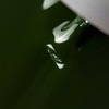 TUFI profi PREMIUM hybride lak Emerald 01 Coniferous 8ml (0102518) - Фото №2