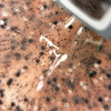 База TUFI profi PREMIUM Granite Base 02 пастельный беж 8 мл (0283710) - Фото №2
