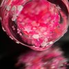 Gel polish REFORMA Confetti Firework 10 ml (942931) - Фото №3