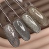 DARK Night Cat 04 hybride nagellak reflecterende cat eye bruin 10 ml - Фото №4