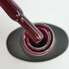 VALERI Color hybride vernis № 14 marsala 6 ml (VA14) - Фото №2