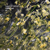 Gel für Erweiterungen NAILSOFTHEDAY Aufbaugel Flower 01 transparent 15 ml - Фото №3