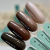 Gellak SILLER Pantone 06 donkerbruin 8 ml (NF-00022213) - Фото №2