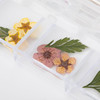 Декор для ногтей сухоцветы в коробке Molly Nails тип E 36 шт - Фото №3