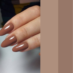 PANTONE 19-1325 TCX Hot Chocolate – przytulny brąz