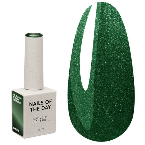 NAILSOFTHEDAY Koreaanse cat eye 17 groene hybride nagellak met "cat eye" effect 10 ml - Фото №1