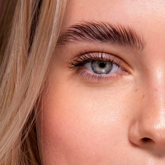 Eyebrows 2024 (Wide)