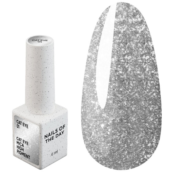 NAILSOFTHEDAY Cat Eye Gel Polish 01 silver-gray 6 ml - Фото №1