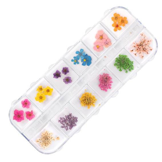 Molly Nails Typ B Getrocknete Blumen Nagelkunst in einer Box, 36 Stück. - Фото №1