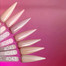 Nagelbasis Moon Amazing French Base 4045 Warm Latte 12 ml - Фото №3