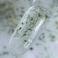 Gel für Erweiterungen NAILSOFTHEDAY Aufbaugel Flower 01 transparent 15 ml - Фото №2