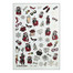Slider design UAslider winter № CF 065 - Фото №1