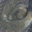 Touch Twinkle top 01 transparent with brown glitter and reflective shimmer 13 ml - Фото №2