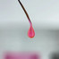 Gel voor extensions NAILSOFTHEDAY Builder gel 051 Vitrage roze 15 ml - Фото №3