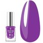 Декоративный лак для ногтей VYCTORIA VYNN iQ 031 Violet Up
