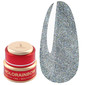 Nagelpoeder Slowianka 07 Holorainbow Multicolor 2 g